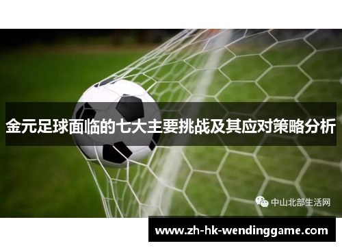 金元足球面临的七大主要挑战及其应对策略分析