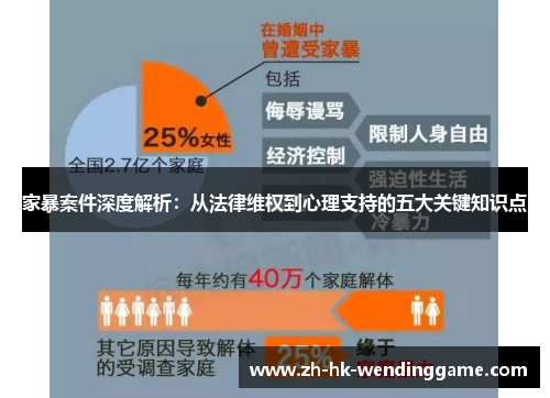 家暴案件深度解析：从法律维权到心理支持的五大关键知识点
