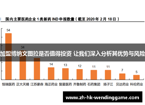 加盟博纳文图拉是否值得投资 让我们深入分析其优势与风险