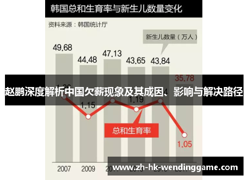 赵鹏深度解析中国欠薪现象及其成因、影响与解决路径