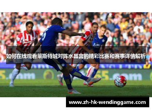 如何在线观看莱斯特城对阵水晶宫的精彩比赛和赛事详情解析