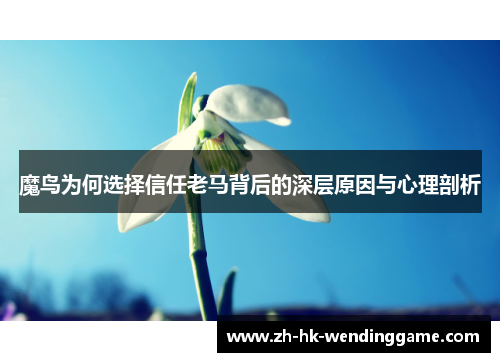 魔鸟为何选择信任老马背后的深层原因与心理剖析
