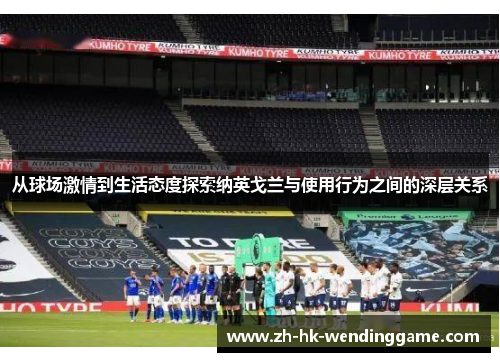 从球场激情到生活态度探索纳英戈兰与使用行为之间的深层关系